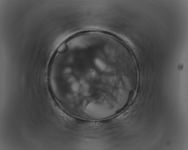 X0000091081279200708271229