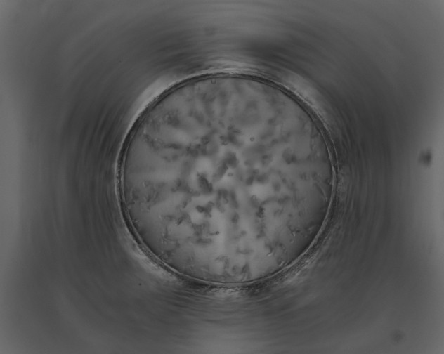 X0000091081283200708271228