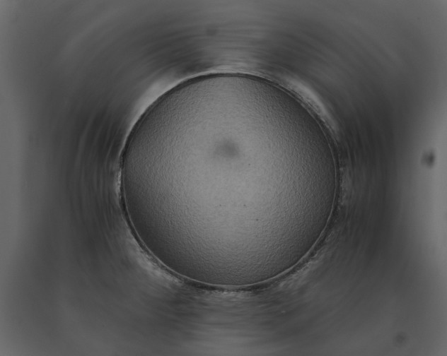 X0000091081284200708271228