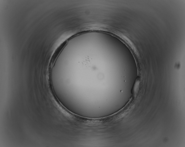 X0000091081285200708271228