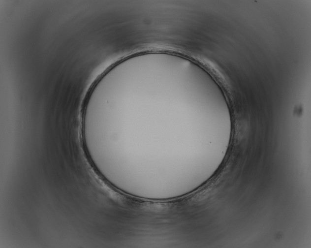 X0000091081286200708271228