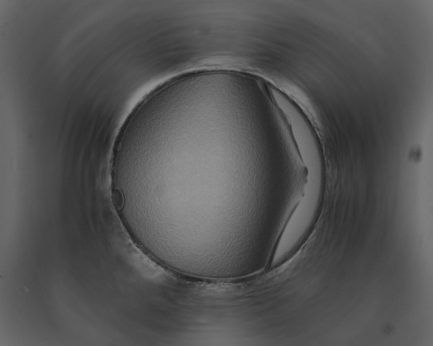 X0000091081288200708271228