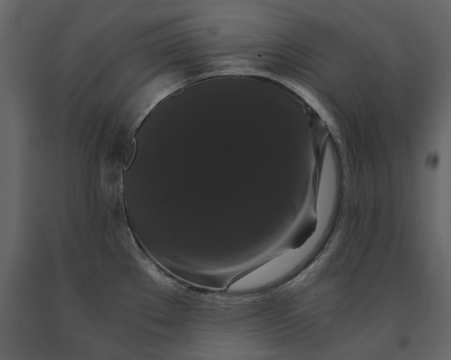 X0000091081289200708271228