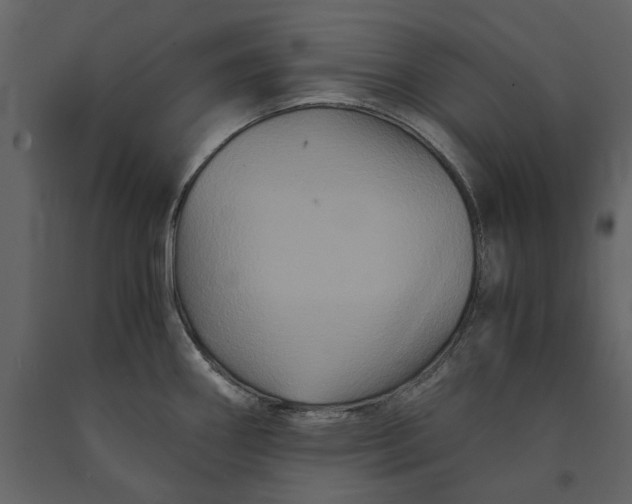 X0000091081290200708271228