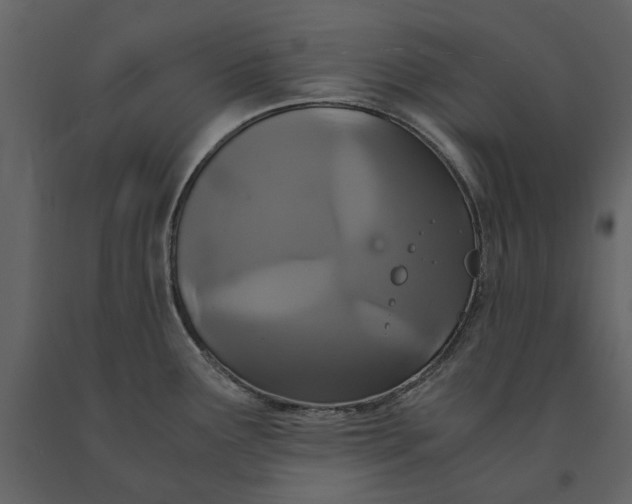 X0000091081291200708271228