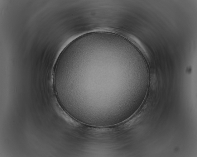 X0000091081292200708271228