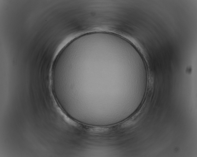 X0000091081294200708271228