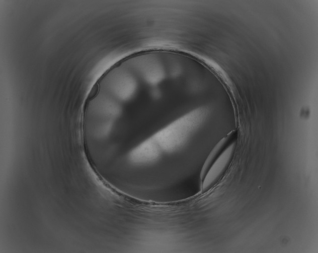 X0000091081295200708271228