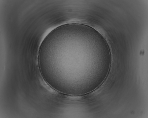 X0000091081296200708271228