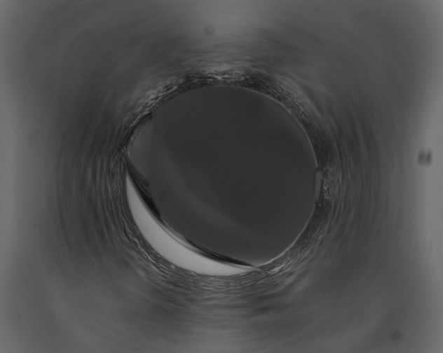 X0000091081298200708271228