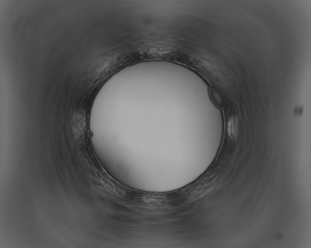 X0000091081299200708271228