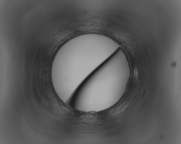 X0000091081300200708271228