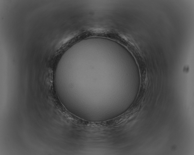 X0000091081301200708271228