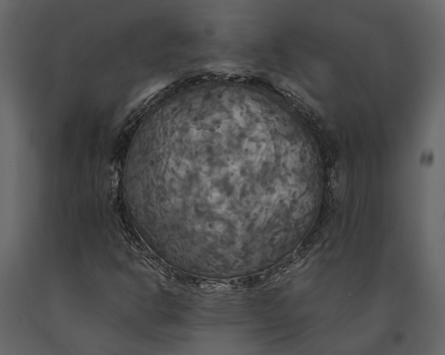 X0000091081302200708271228