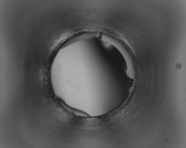 X0000091081304200708271228