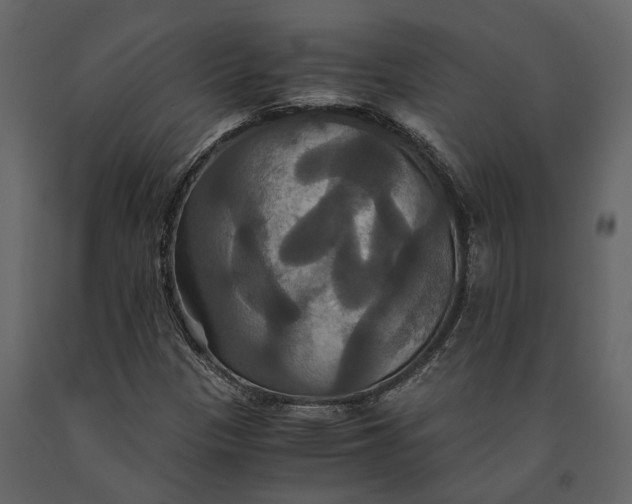 X0000091081305200708271228