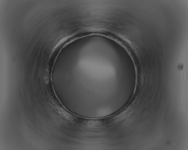 X0000091081306200708271228