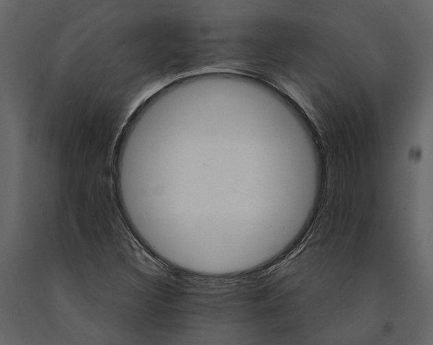 X0000091081308200708271228