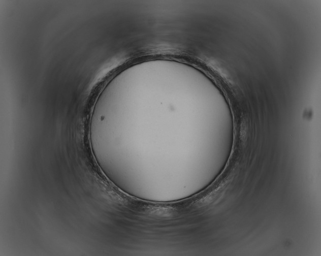 X0000091081309200708271228