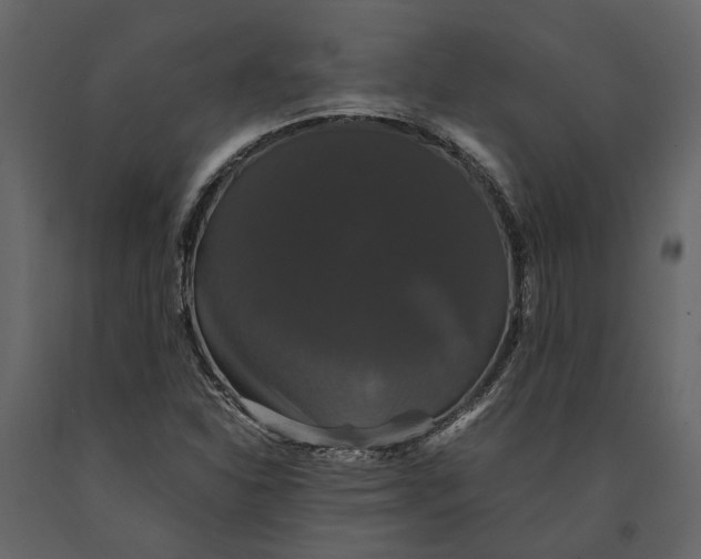 X0000091081310200708271228