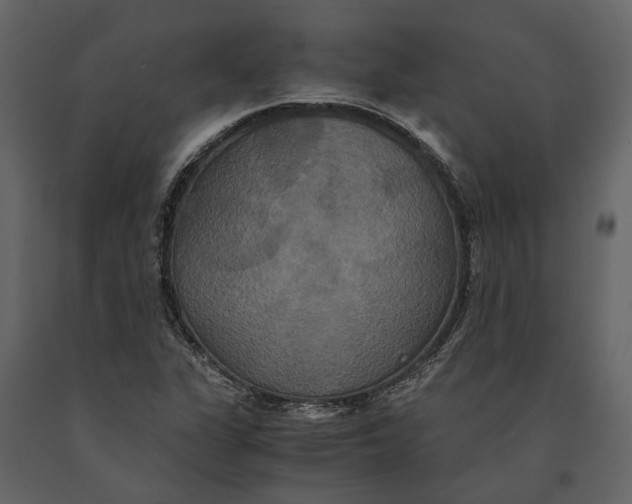 X0000091081311200708271228