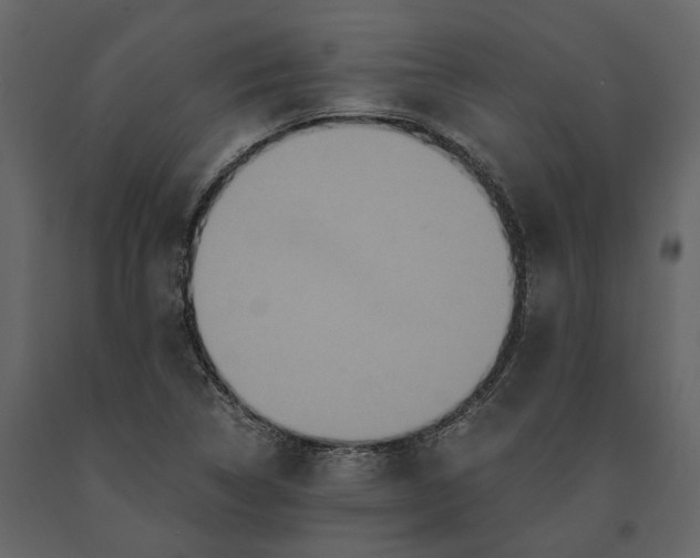 X0000091081314200708271228