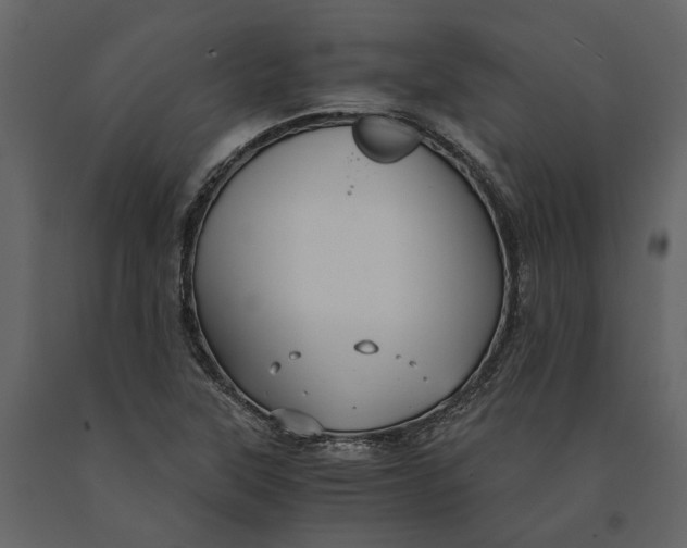 X0000091081315200708271228