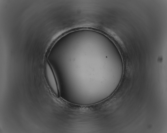 X0000091081316200708271228