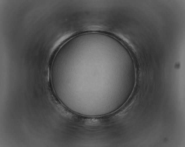 X0000091081317200708271228