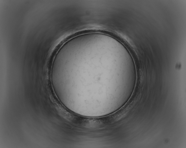 X0000091081318200708271228