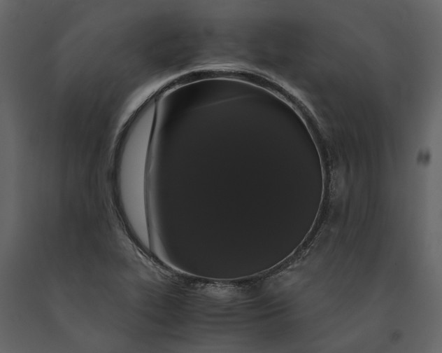 X0000091081319200708271228