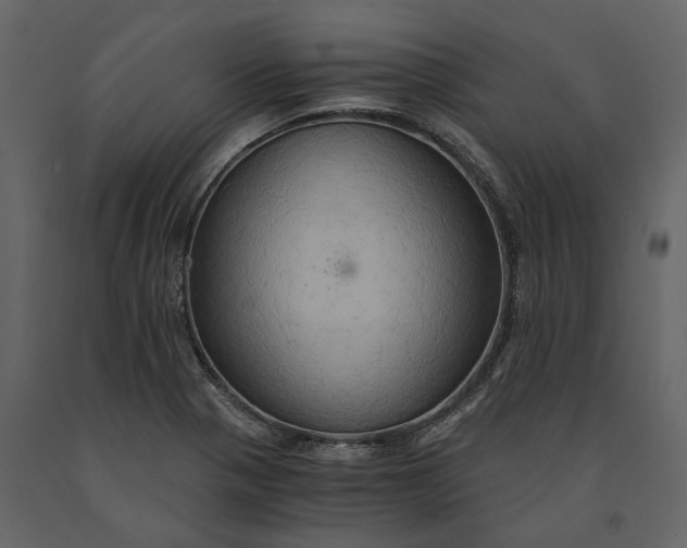 X0000091081321200708271228