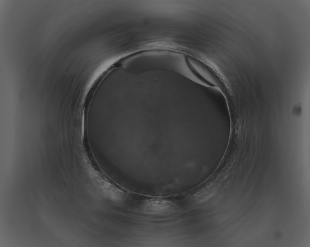 X0000091081323200708271228