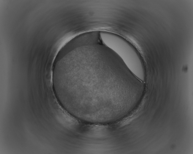 X0000091081324200708271228