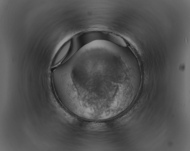 X0000091081325200708271228