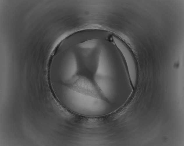 X0000091081326200708271228