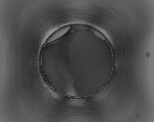 X0000091081327200708271228