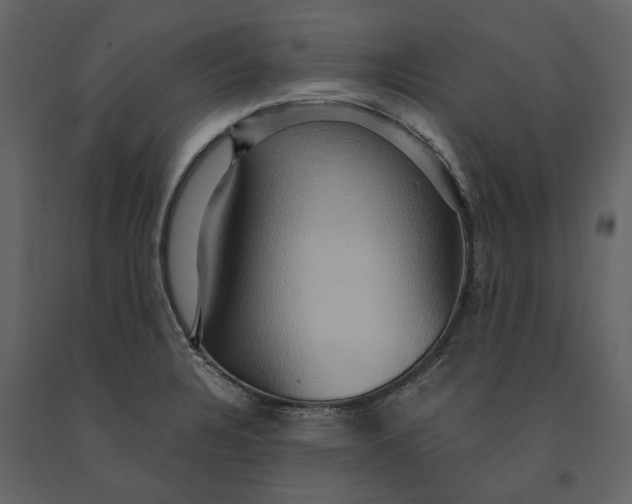 X0000091081328200708271228