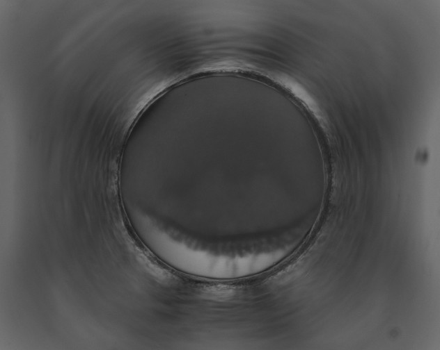 X0000091081329200708271228