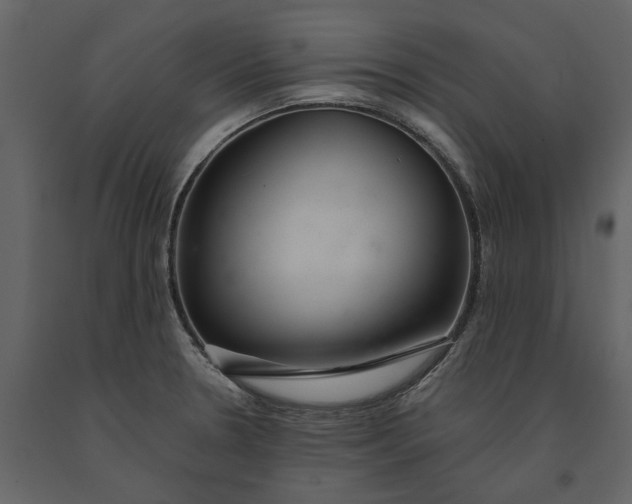 X0000091081330200708271228