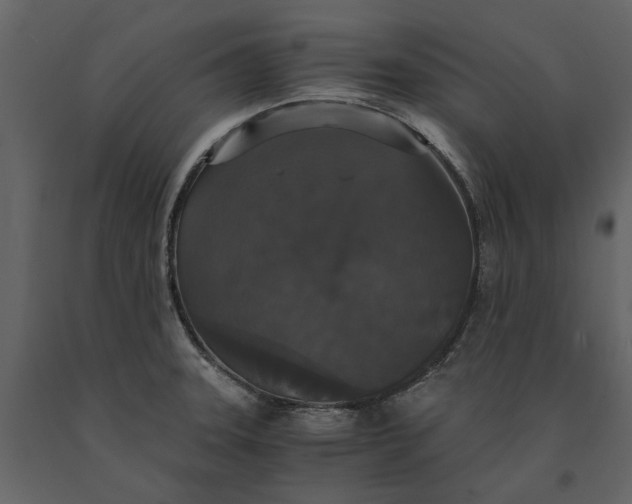 X0000091081331200708271228