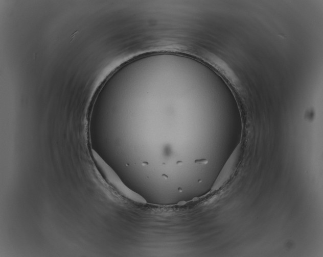 X0000091081332200708271228