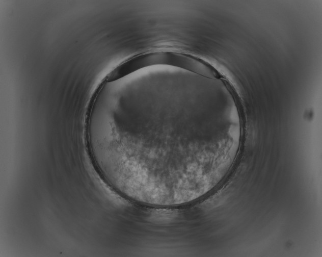 X0000091081333200708271228