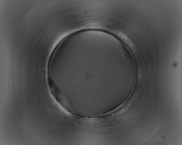 X0000091081334200708271228