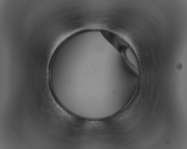 X0000091081335200708271228