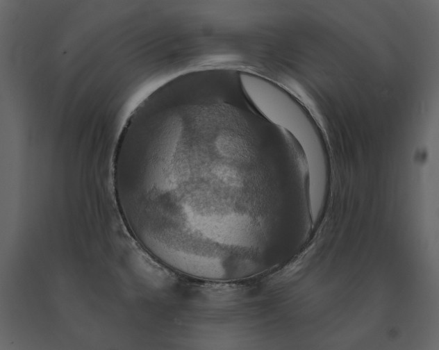 X0000091081336200708271228