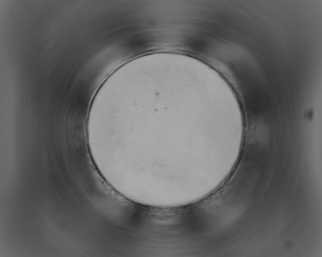 X0000091081338200708271228