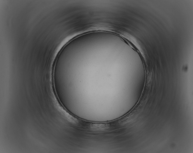 X0000091081339200708271228