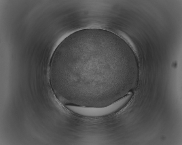 X0000091081340200708271228