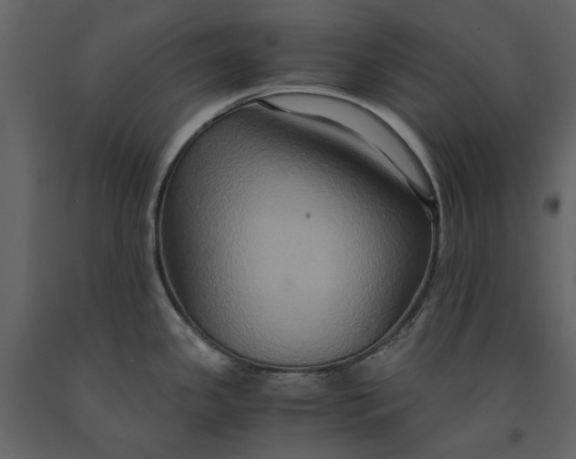 X0000091081341200708271228